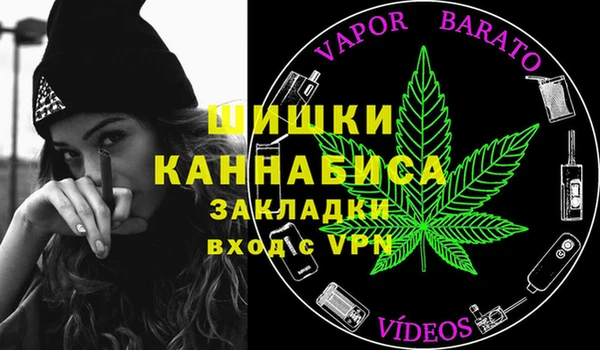 метадон Зеленодольск