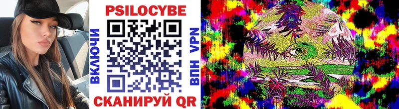 Купить закладки  Заозёрный  Галлюциногенные грибы прущие грибы 
